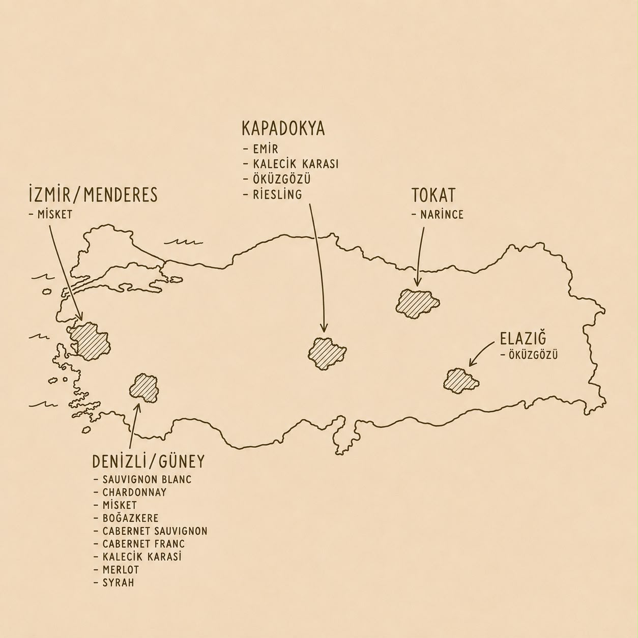 Türkiye haritası üzerinde bağ bölgeleri ve üzümleri: Kapadokya/Nevşehir — Emir, Kalecik Karası, Öküzgözü, Riesling; Denizli/Güney — Sauvignon Blanc, Chardonnay, Misket, Boğazkere, Cabernet Sauvignon, Cabernet Franc, Kalecik Karası, Merlot, Syrah; İzmir/Menderes — Misket; Tokat — Narince; Elazığ — Öküzgözü.